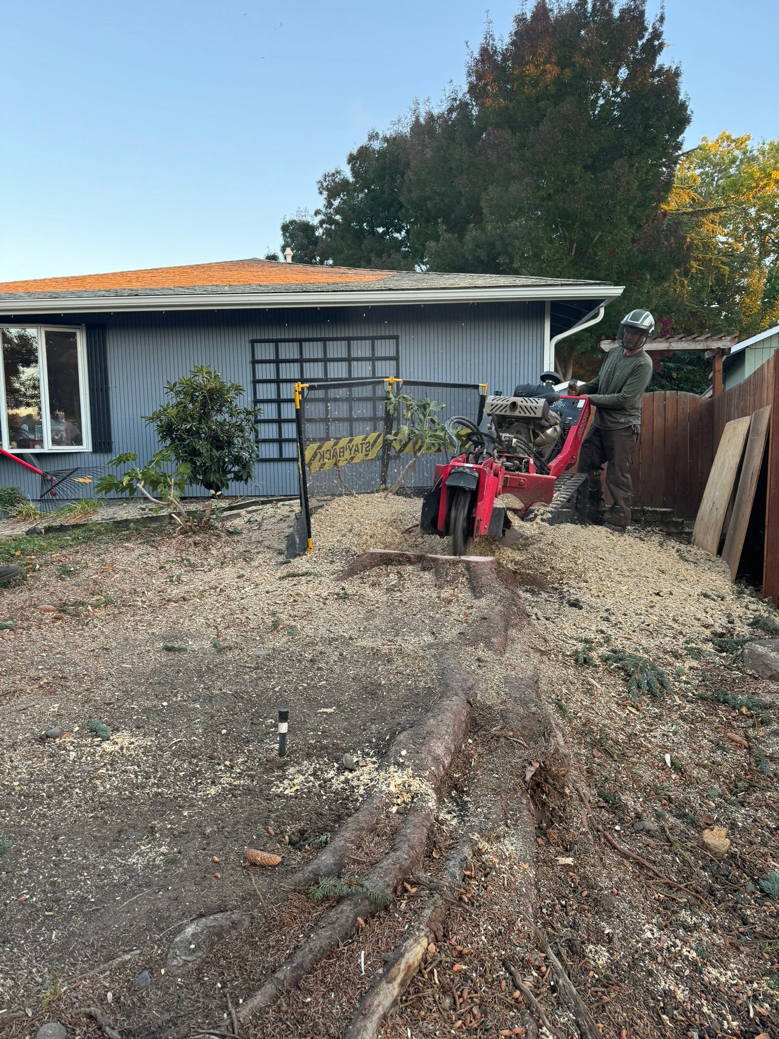 Stump Grinding Medford Oregon Grants Pass Oregon