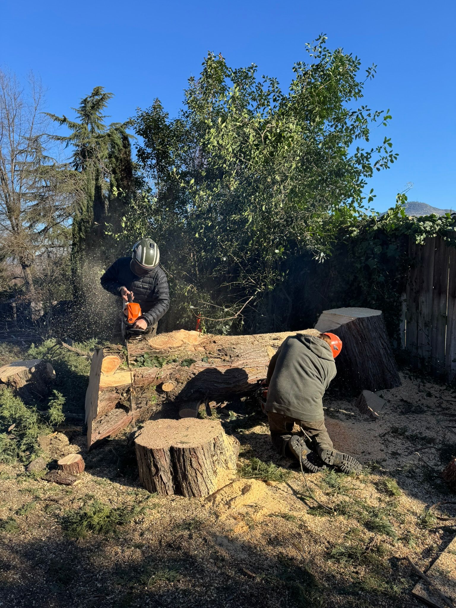 24/7 Emergency Tree Service Medford Oregon Grants Pass Oregon