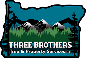Tree Brothers Tree Service Medford Grants Pass