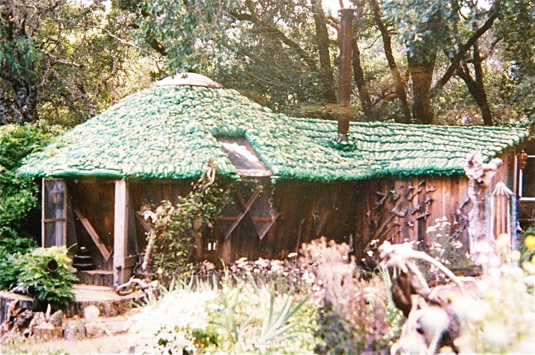Rustic cottage with a green roof nestled among trees and foliage