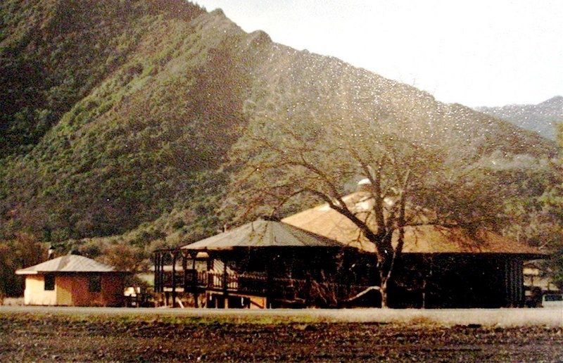 Rustic buildings beside a mountain under bright sunlight, with a bare tree in front.