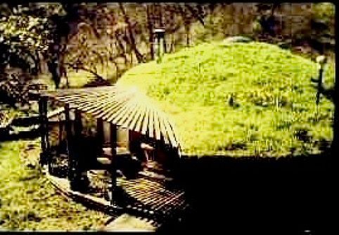Small hut with a slanted roof covered in bright green grass among trees outdoors.