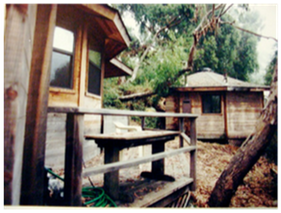 Wooden cabins with a porch and railing in a wooded outdoor setting