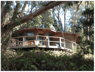 Wooden cabin with white railing nestled among trees and bushes