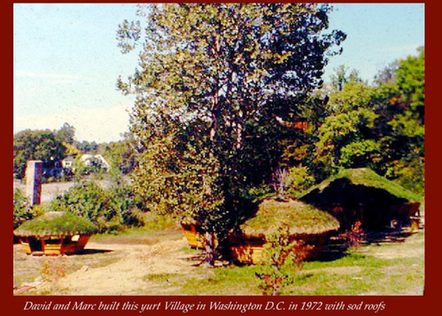 Historic Washington, D.C. village scene with a tree, shrubs, and rustic houses in warm sunlight