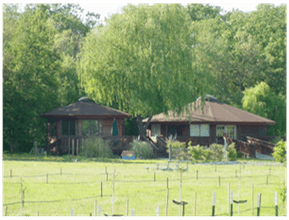 Two small houses with dark roofs in a green field, backed by dense trees