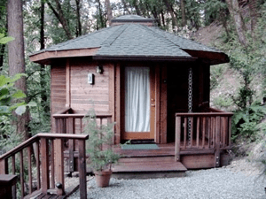 Small wooden cabin with a porch and curtained door in a forest setting
