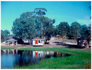 Calm lakeside park with trees, small cabins, and colorful reflections in the water