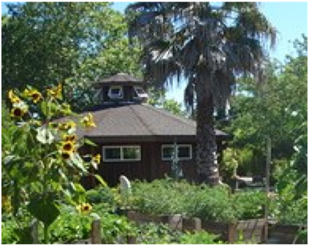 Small dark house with a palm tree and lush garden in bright sunlight