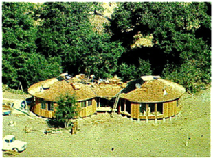 Two round thatched huts in a forest clearing