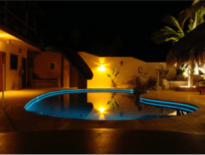 Nighttime pool with blue lighting beside a villa and palm trees