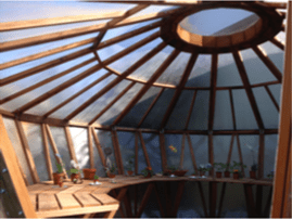 Wooden sunroom with a domed glass roof, round skylight, and plants around the windows