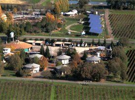 Aerial view of a rural farm village with small buildings, trees, and vineyard rows