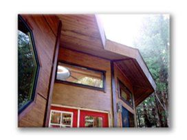 Modern wooden house with angled roof and large windows surrounded by trees