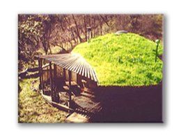 Small hut with a bright green grass roof in a wooded outdoor setting