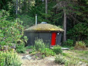 Small round hut with a grass roof and red door in a wooded forest clearing