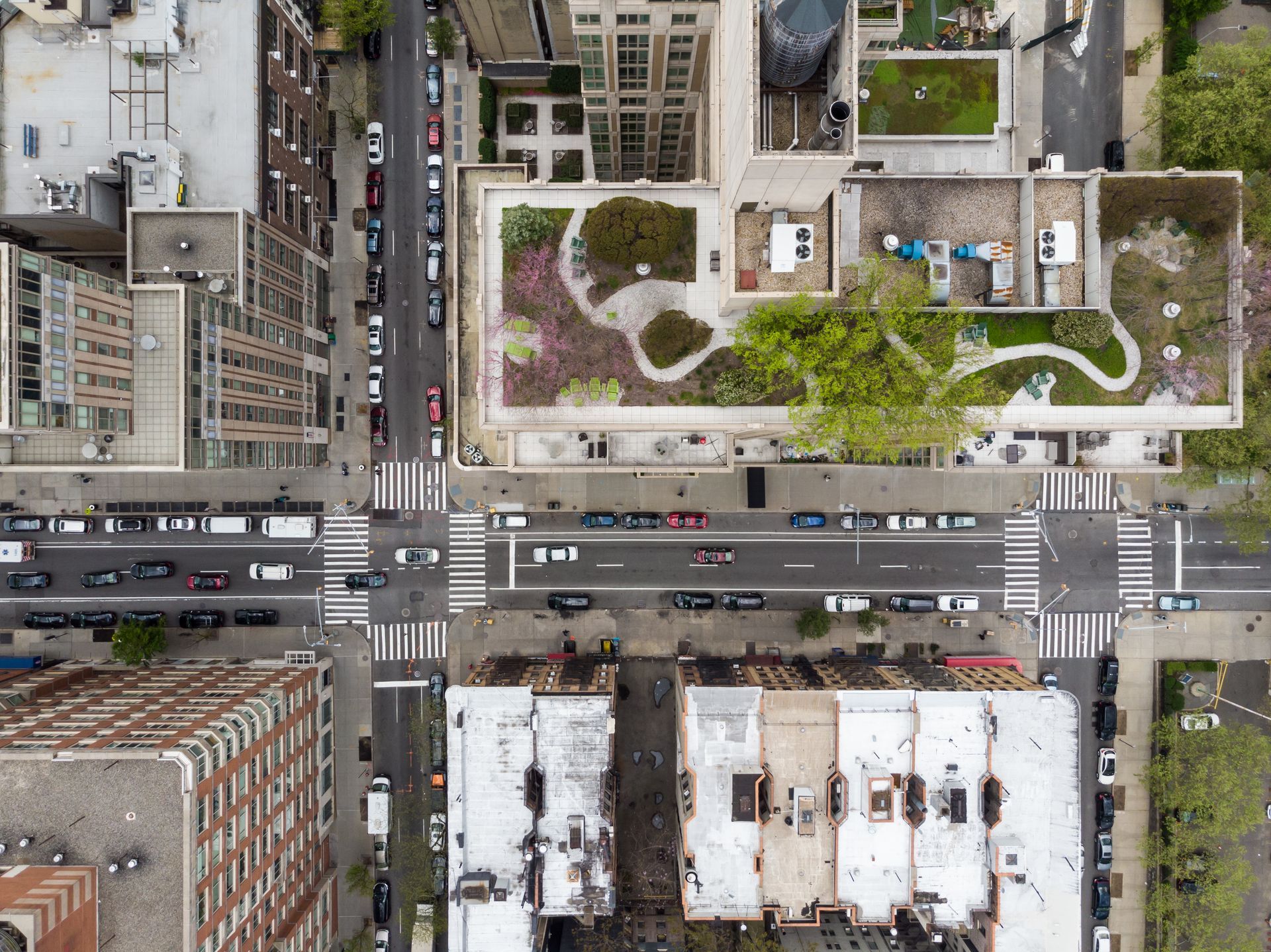 Aerial view of a city intersection with cars, crosswalks, and a rooftop garden atop buildings.