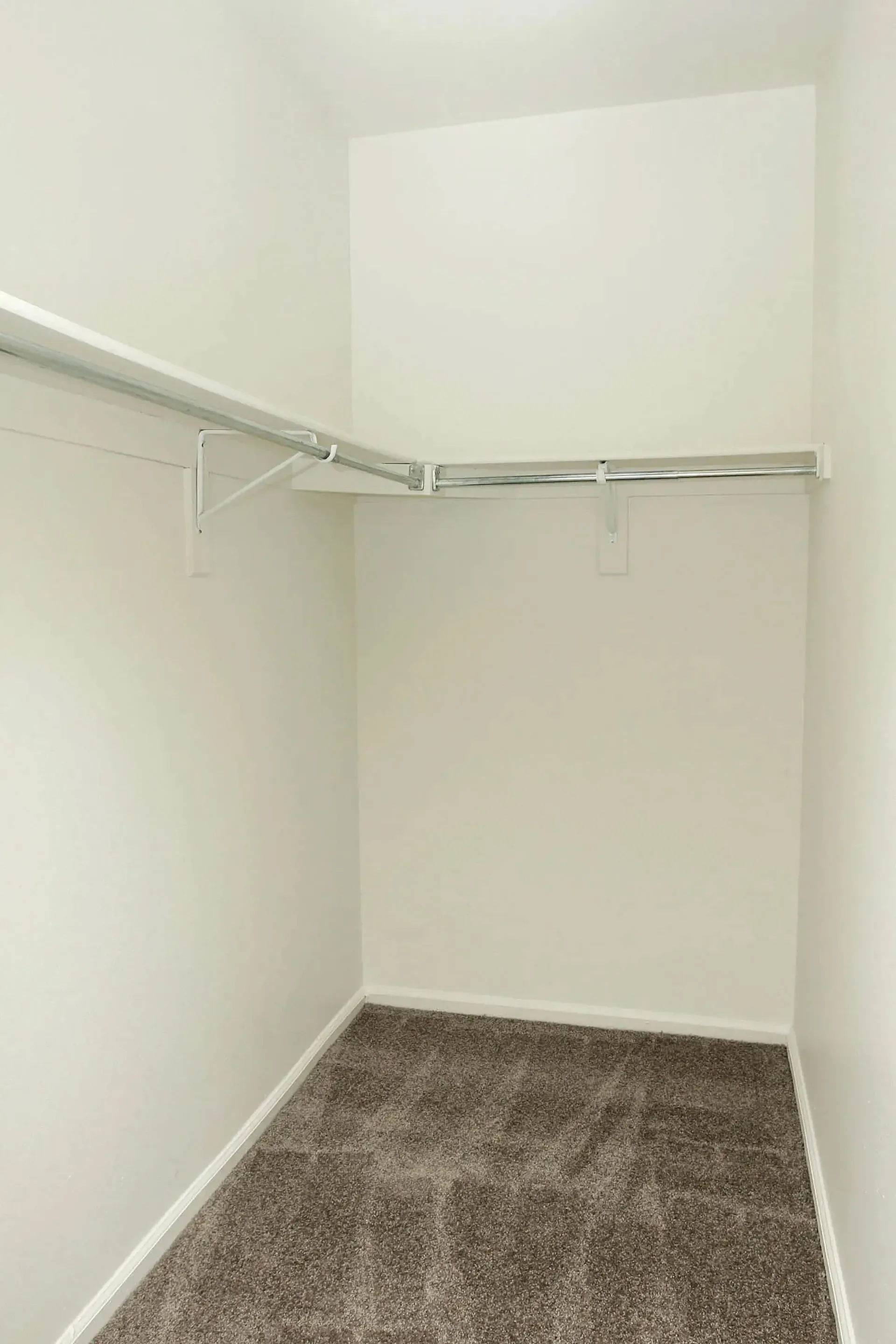 Thumbnail 28 of 51 - A white closet with a carpeted floor and a white door.