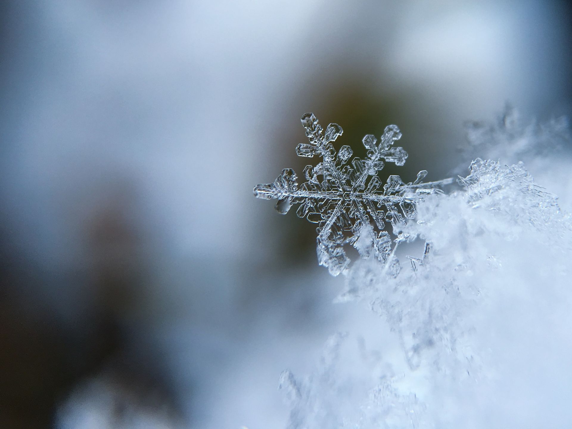 A delicate snowflake, with six symmetrical arms, rests on a bed of ice.
