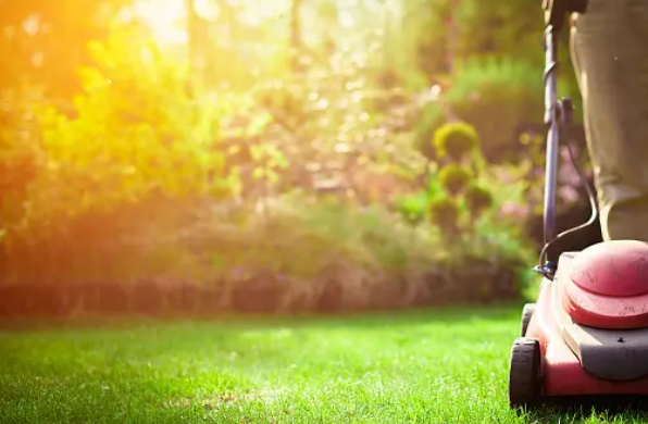 Lawn mower on green grass in a sunny garden, with blurred greenery in the background.