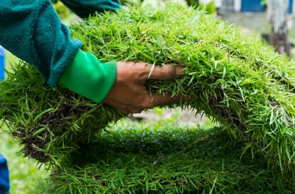 Person holding a section of sod with green grass and visible roots.