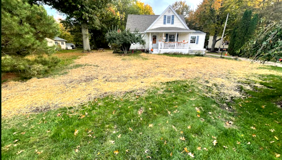 White house with a yard covered in fallen yellow leaves and green grass.