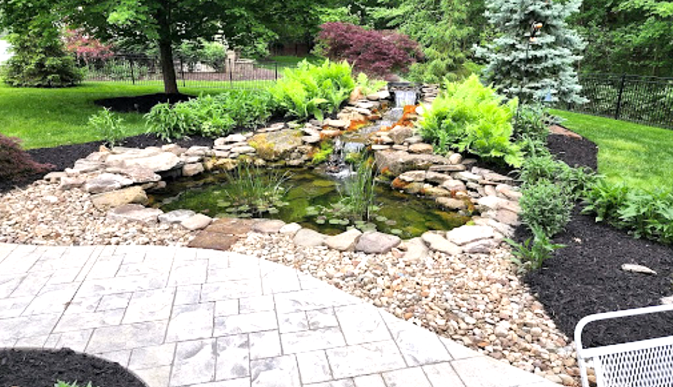 A landscaped backyard with a stone-lined pond, waterfall, and lush greenery.