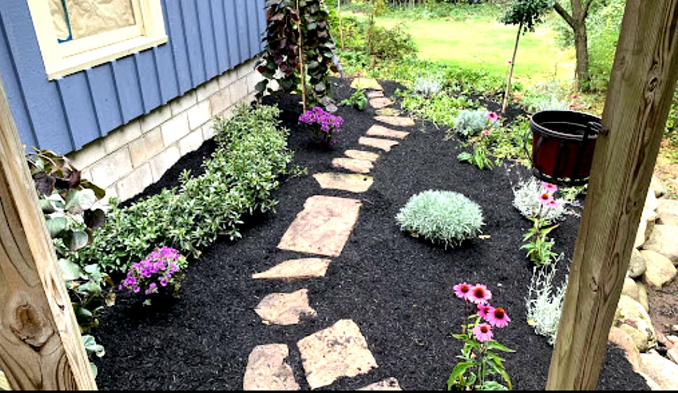Stone path through a garden with blue siding, black mulch, and blooming flowers.