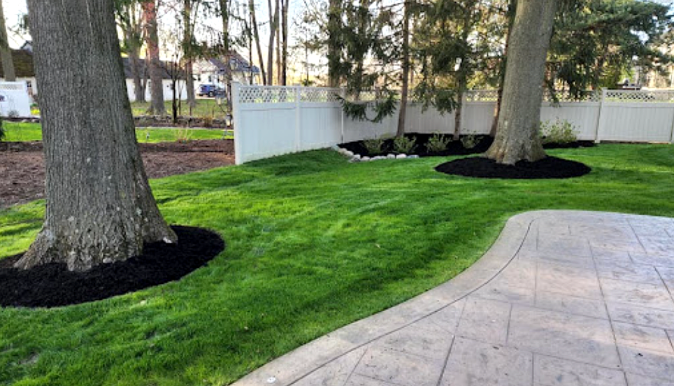 Lush green lawn with two large trees mulched with black bark, next to a concrete patio and white fence.