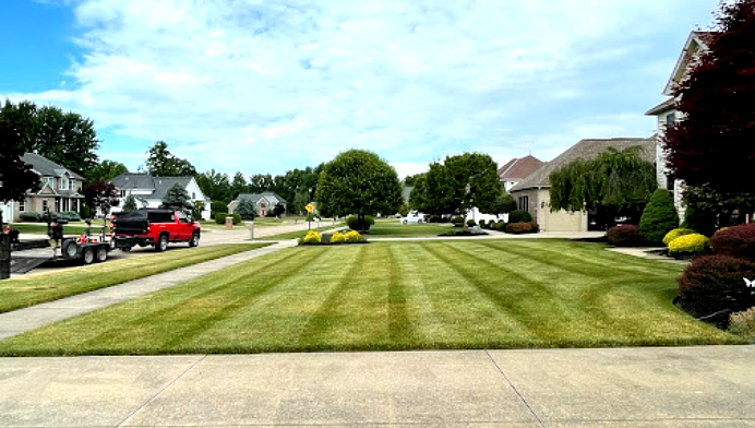 Green, striped lawn in residential neighborhood with red truck and houses.