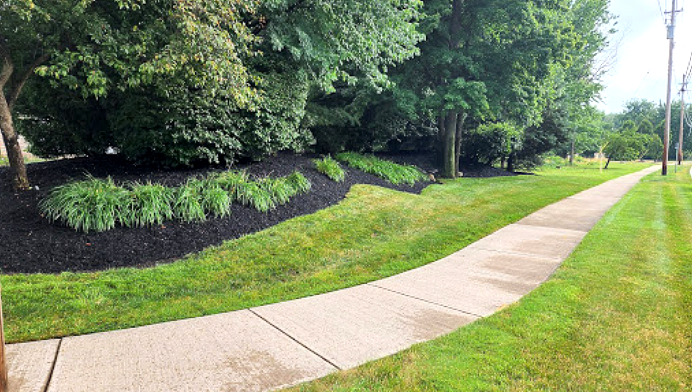 Sidewalk next to a landscaped area with grass, black mulch, and trees.