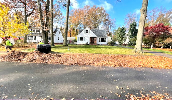 Two workers collecting fallen autumn leaves on a residential street; white houses in the background.