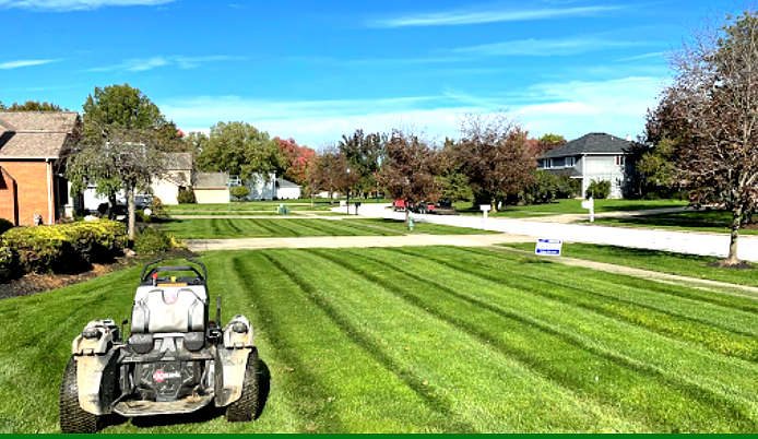 Lawnmower cutting grass in a suburban neighborhood with blue sky and colorful trees.