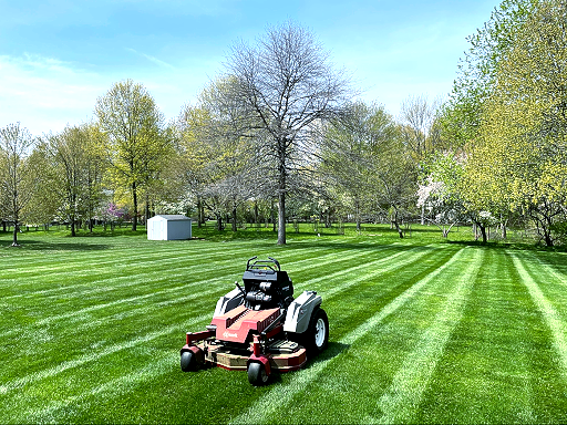 A riding lawnmower cuts stripes in a green lawn on a sunny day. Trees in background.