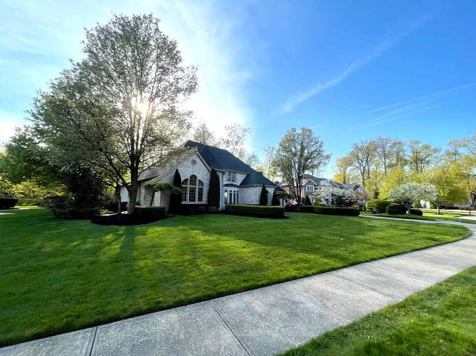 A well-manicured lawn with a house, sidewalk, and trees under a clear, sunny sky.