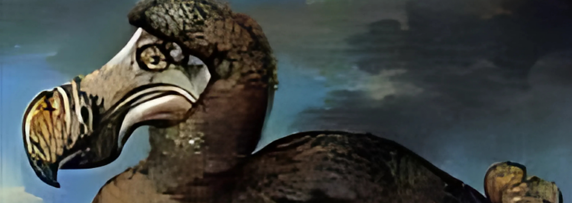 A dodo bird with a large beak and brown feathers against a cloudy sky.