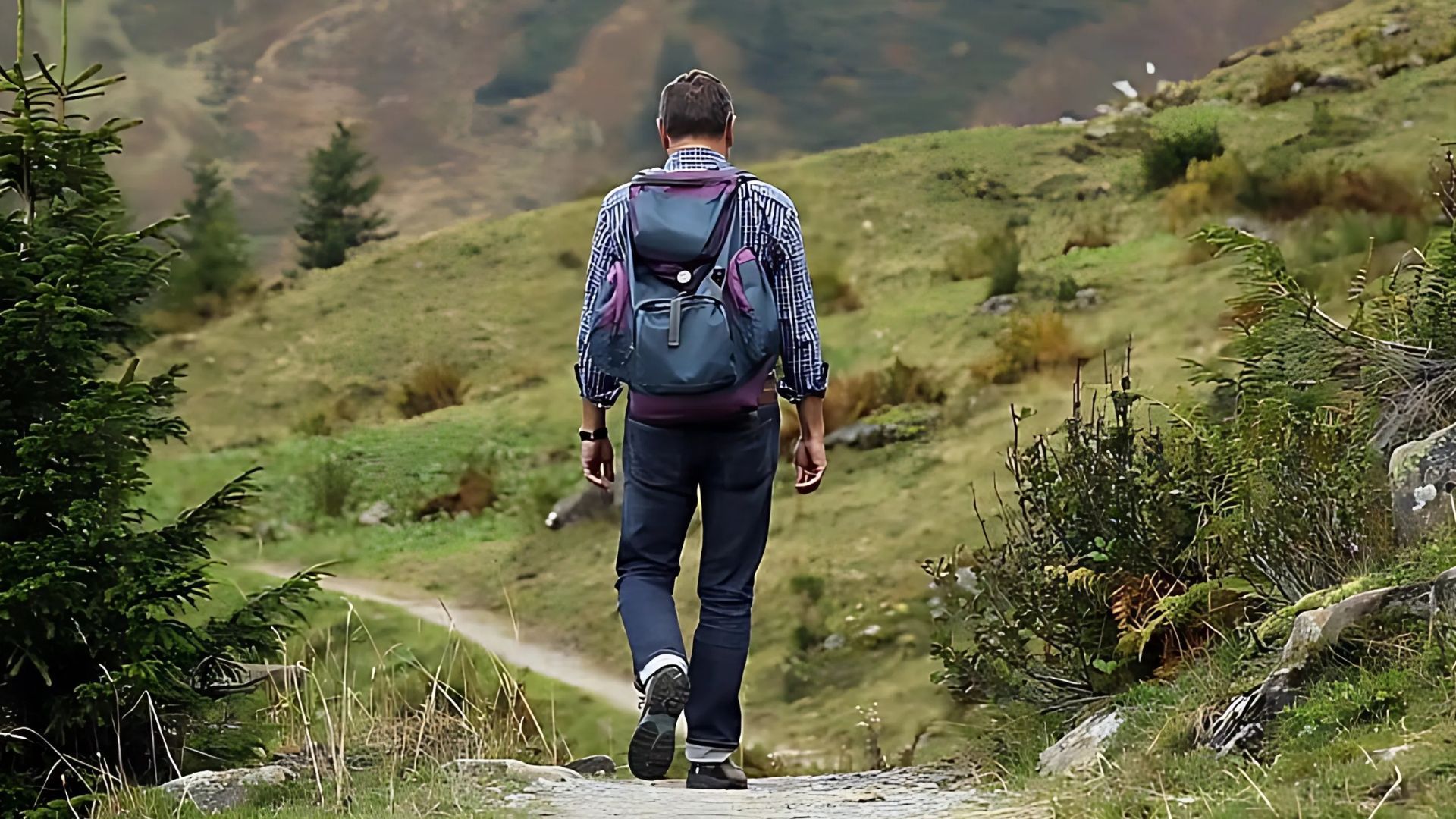 Person hikes on a path in a mountainous landscape, carrying a backpack and stick.