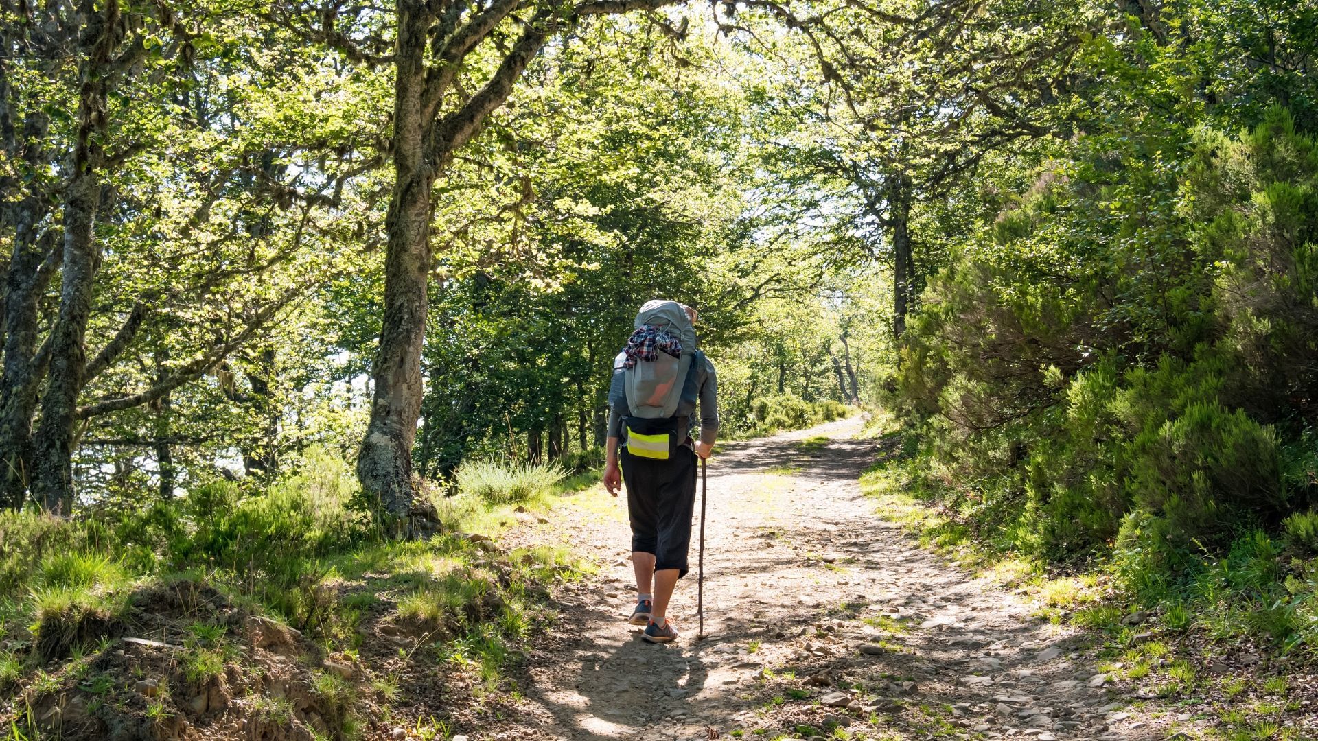 The Yorkshire Dales is best explored on foot – and, some say, best explored in summer. Discover 4 