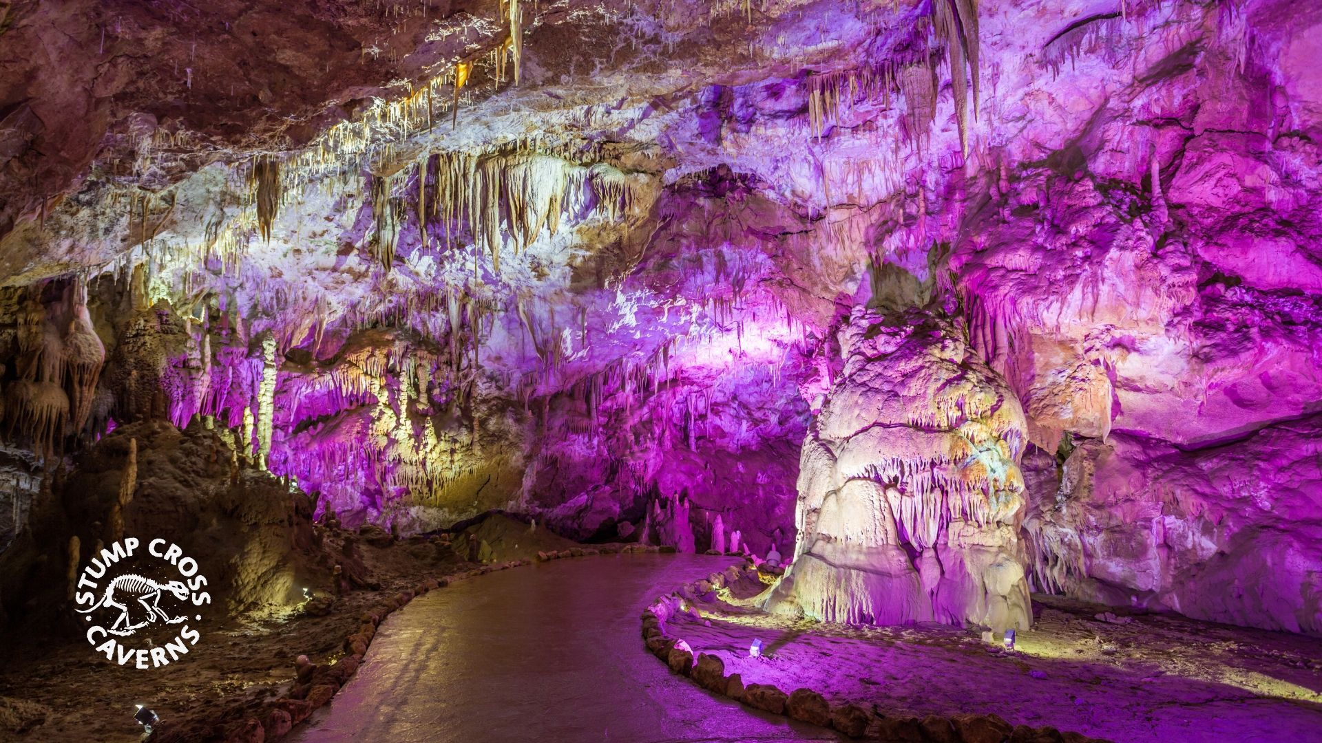 Cave interior lit with purple and white lights, with stalactites, stalagmites, and a winding path.