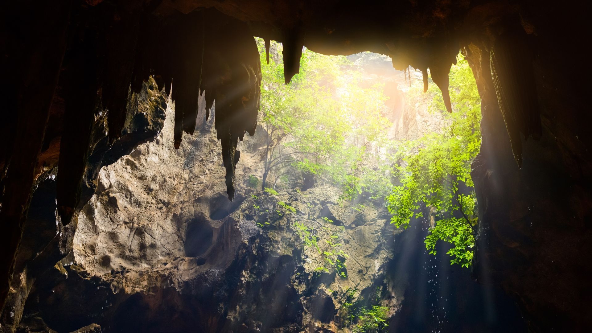 Cave opening, sunlit with stalactites, revealing lush green foliage.