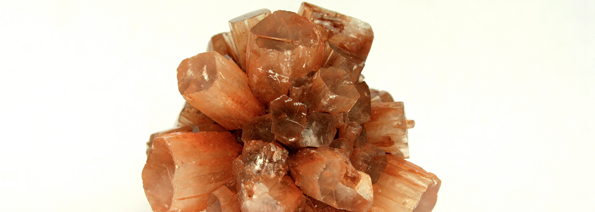A cluster of brown aragonite crystals against a white background.