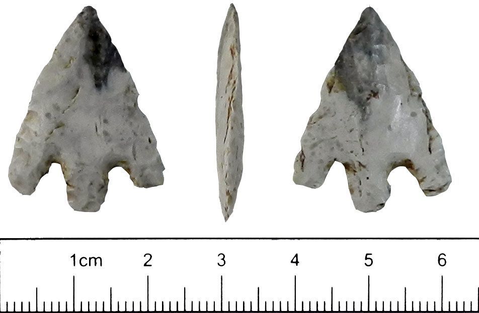 Three views of a white, trifurcated arrowhead; scale is in centimeters.