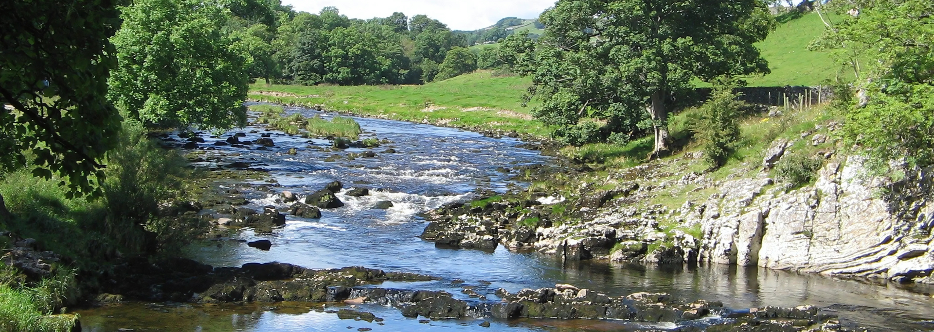 A river flows through a green valley, with trees lining the banks under a bright sky.