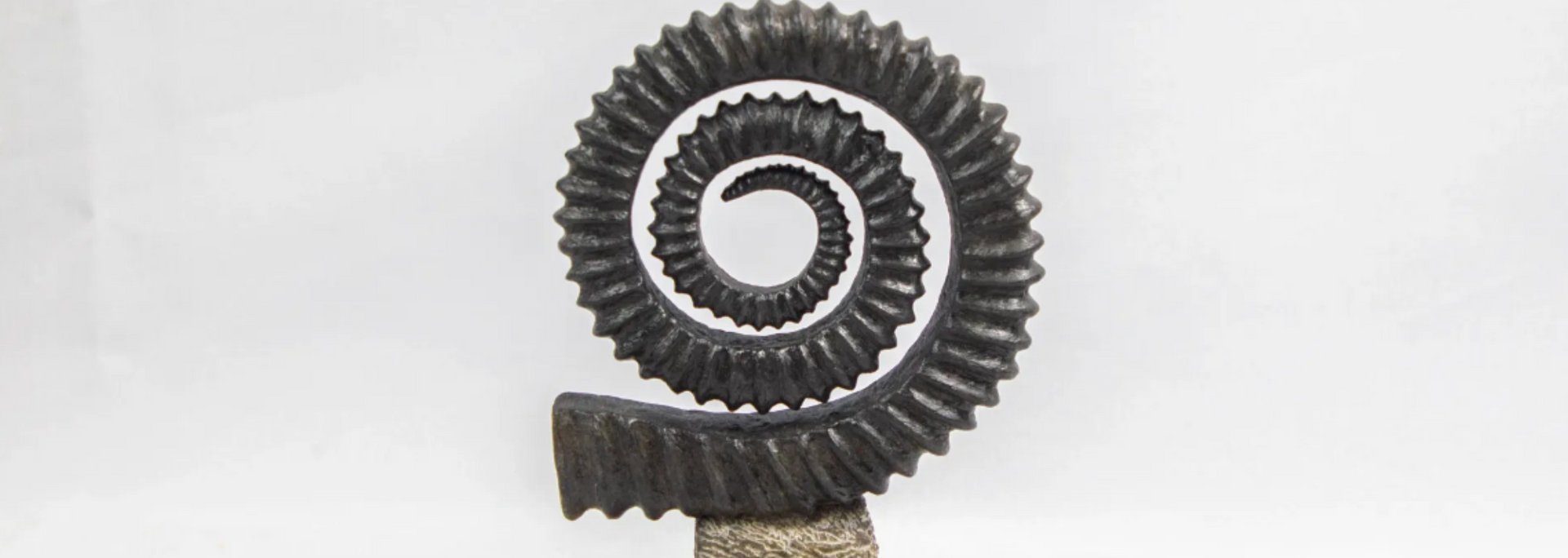 Black spiral sculpture on a light-colored base, set against a white backdrop.