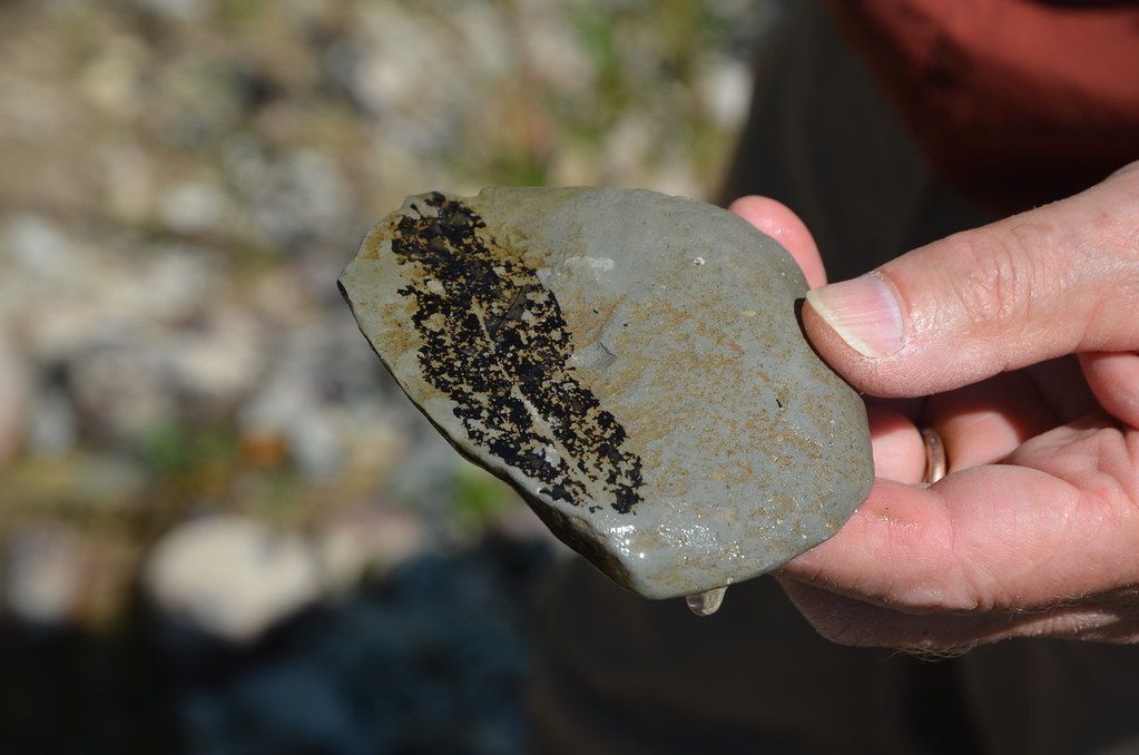 Hand holding a rock with a dark, branching pattern on a light gray surface.