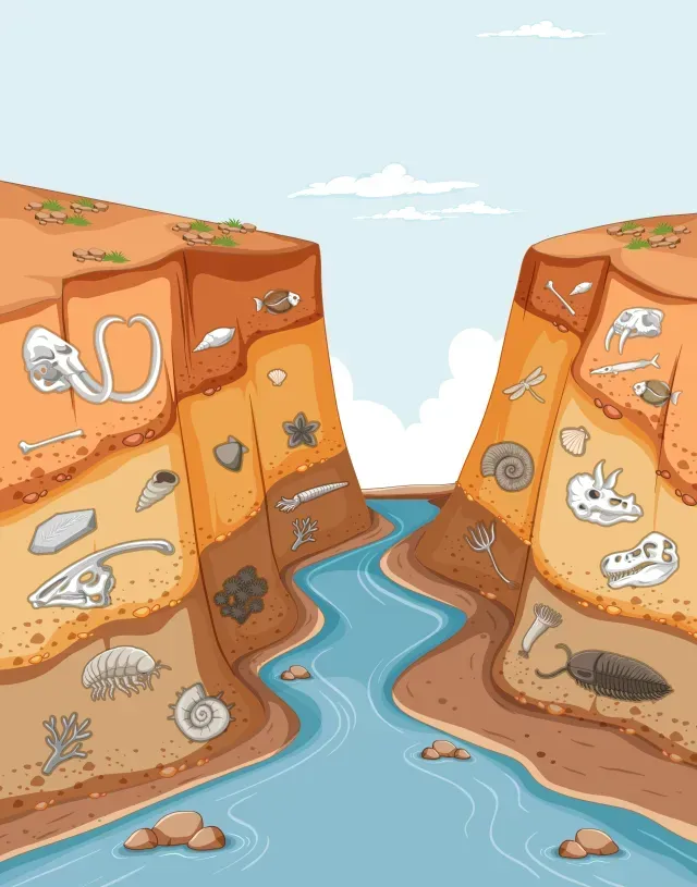 Cross-section of earth revealing layers with embedded fossils of various creatures, above a river.