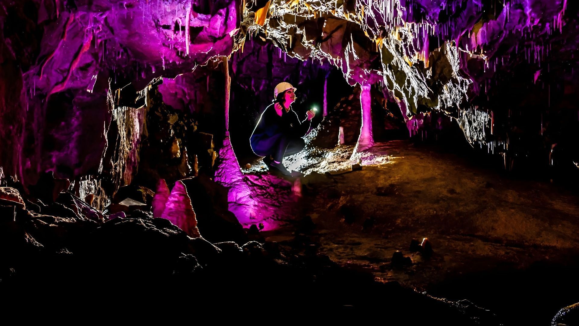 Person in a helmet exploring a cave lit with purple and gold lights, examining formations.