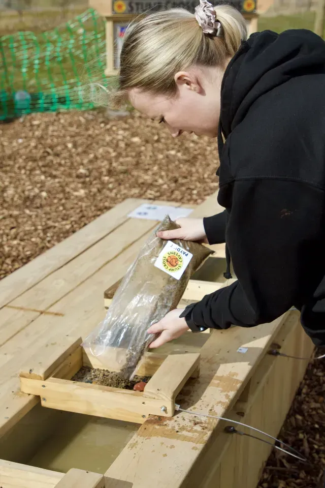 Woman pouring contents from a clear bag into a wooden trough outdoors.