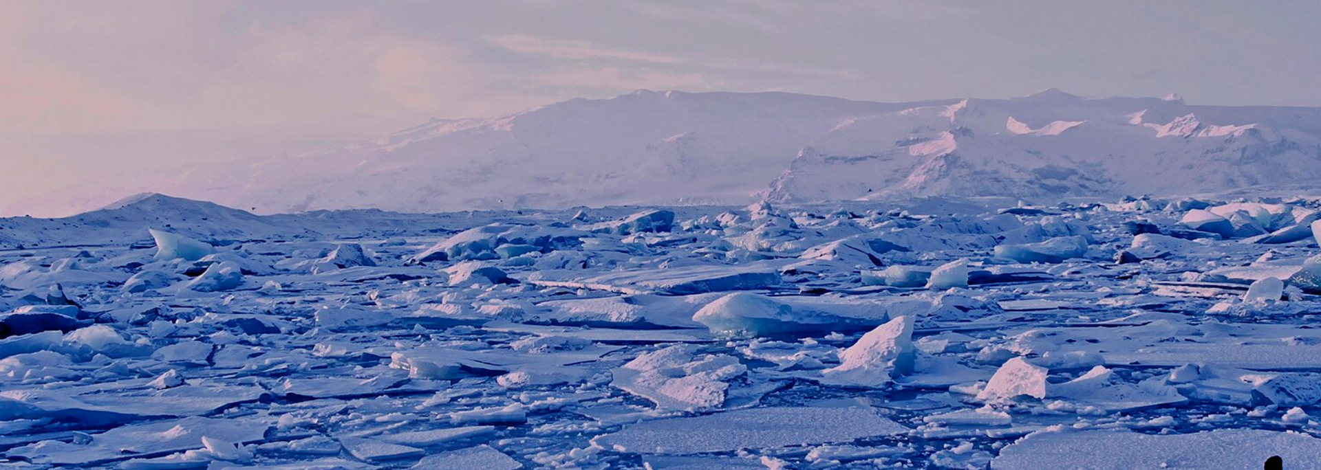 Icy landscape with icebergs and mountains in the distance, soft blue and white hues.