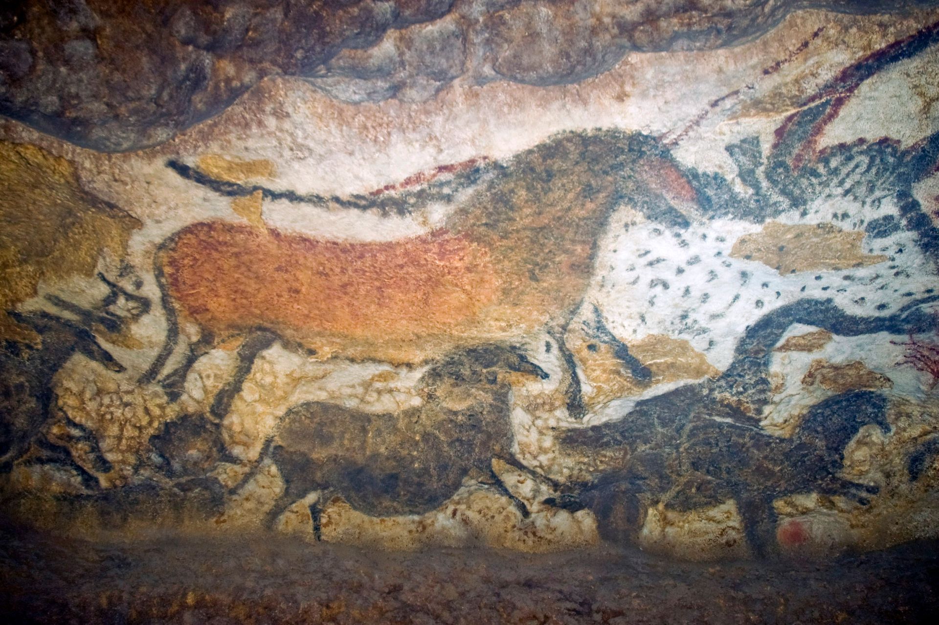 Cave painting depicting several running horses in brown, black, and white.